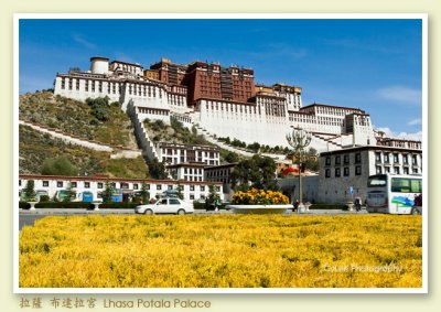 Tibet Lhasa 西藏 拉薩