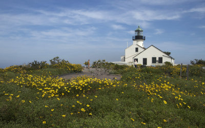 Lighthouse in the Spring