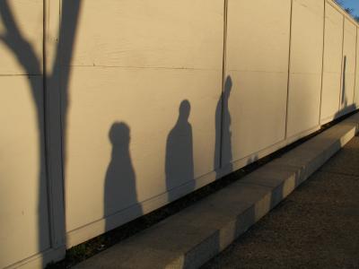 Shadow a Trois