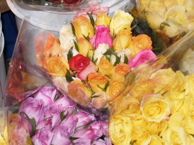 Assorted Roses