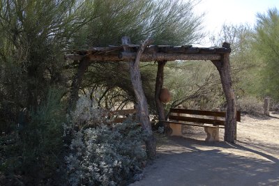 Arizona-Sonora Desert Museum 4