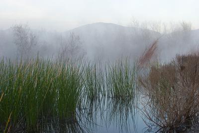 Morning Mist Rising Off Of Lake Hodges