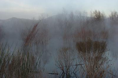 Dawn At Lake Hodges