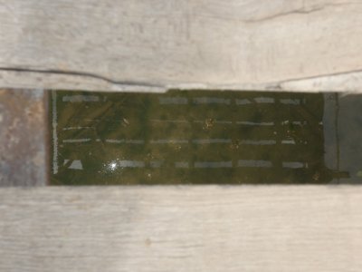P5020115.JPG