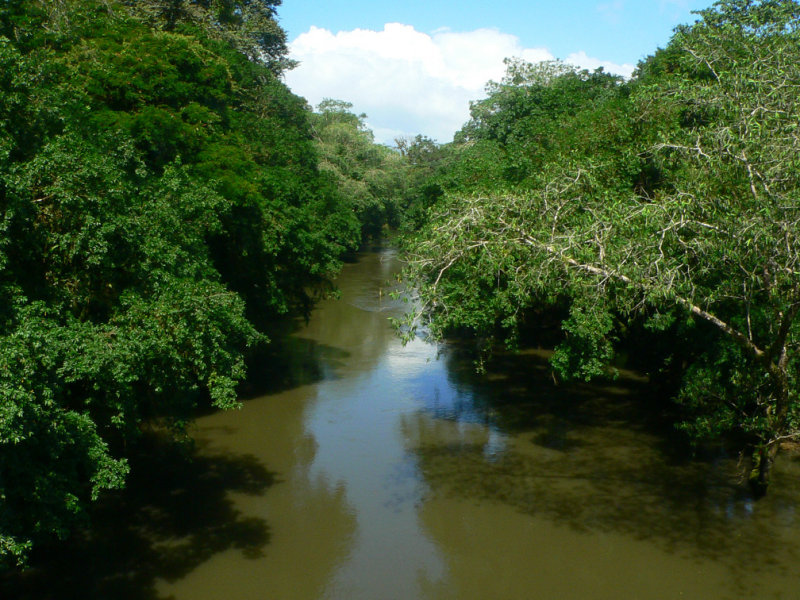 Puerto Viejo River