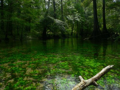 Spring Water