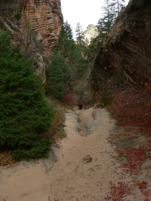 Gwen on the Trail