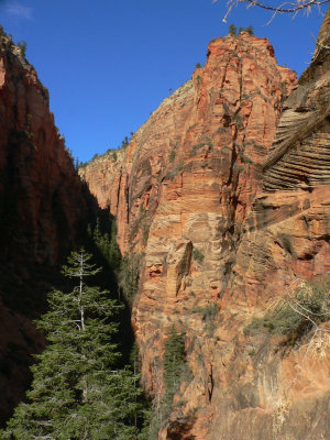 View from Trail