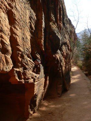 Man of the Mountain