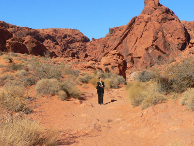 Gwen in the Desert
