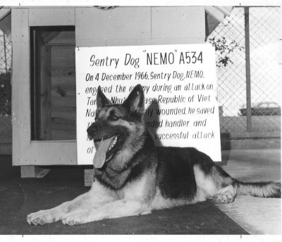 Nemo and Tan Son Nhut Attach Sign at new Kennel at Lackland