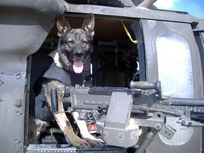 Argo the Door Gunner