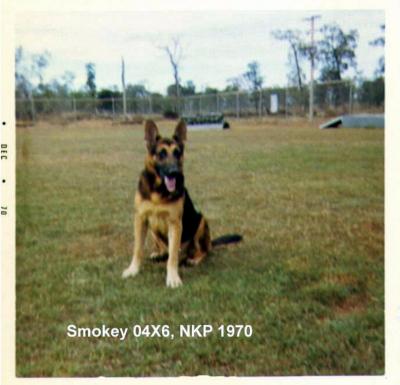 Smokey 04X6_2 - NKP 70