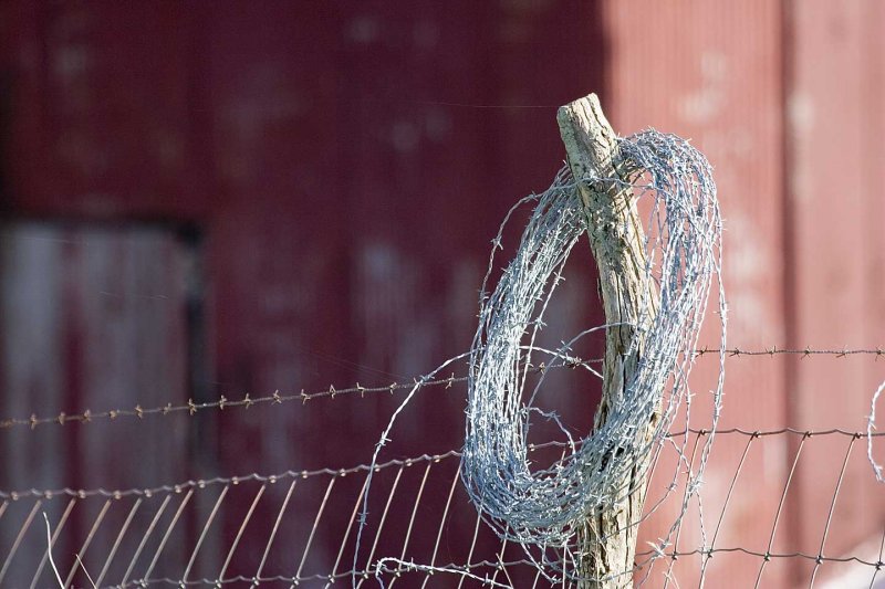 Barbed-Wire.jpg