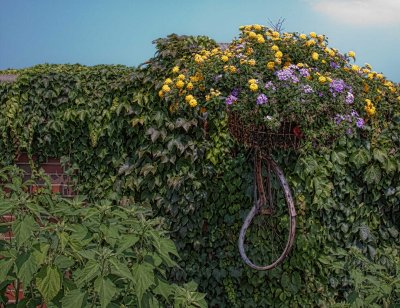 Flower Bike *.jpg