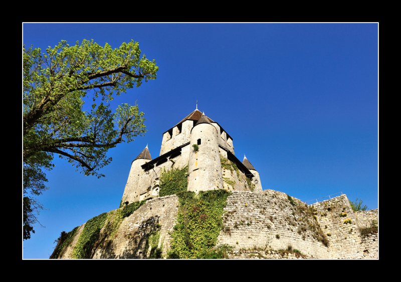 Provins -Tour Csar (EPO_12664)