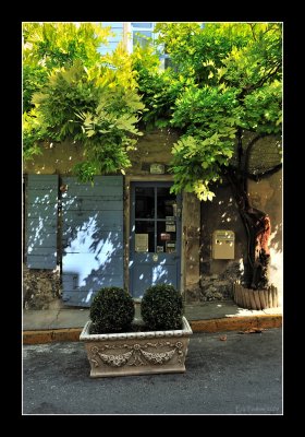 Saint Remy - Provence 2