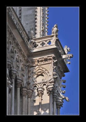 Notre Dame de Paris (EPO_12600)