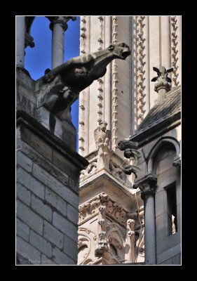 Notre Dame de Paris (EPO_12599)