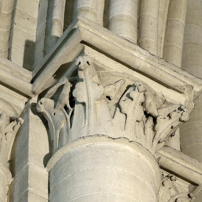 P2075586_small.jpg