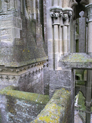 P2075684_small.jpg