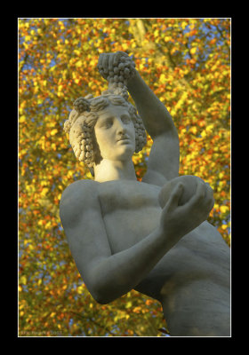 Versailles gardens 93