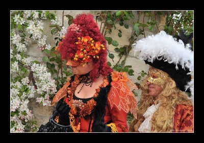 Carnaval Venitien a Versailles 12