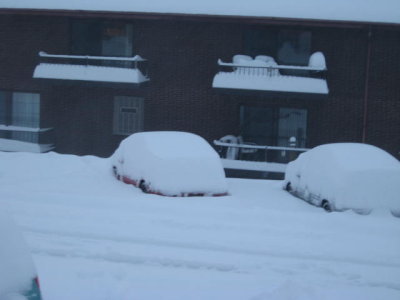 2010 Snow Storm Februaury 5-12