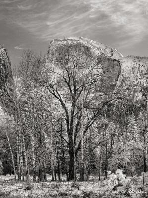 g3/37/572937/3/54802132.IRyosemite5jan06015hdrbw2.jpg