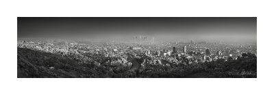 Hollywood Hills Infrared