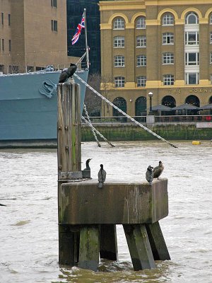 River Thames