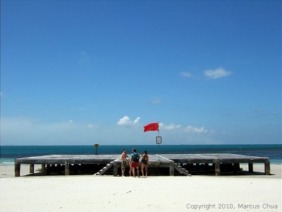 g3/37/602937/3/123893395.xW0eaeoB.jpg