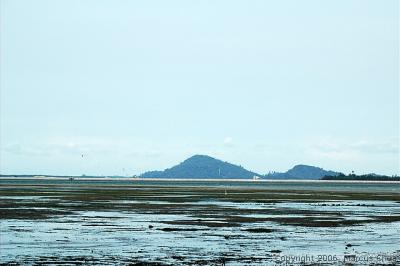Chek Jawa