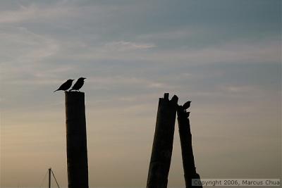 g3/37/602937/3/55609209.dsc_0494_std.jpg