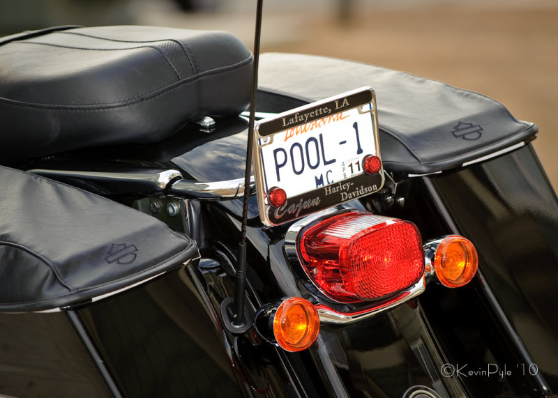 KP7_7574 022-MBhogs.jpg