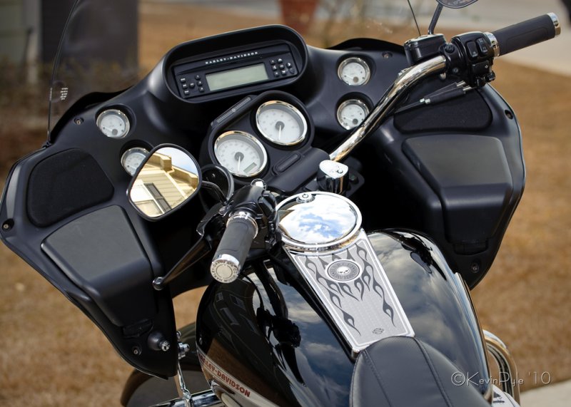 KP7_7585 030-MBhogs.jpg