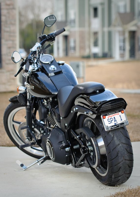 KP7_7620 063-MBhogs.jpg