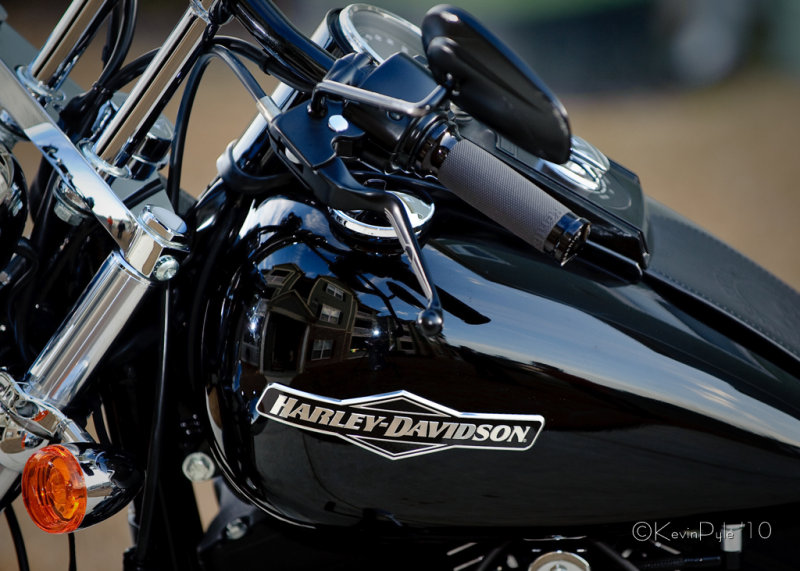 KP7_7631 074-MBhogs.jpg