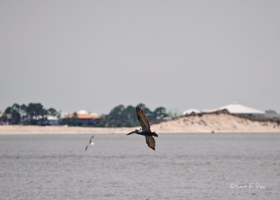 _DSC2793.JPG