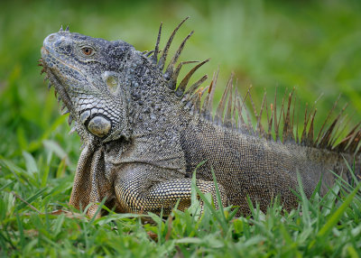 centralamerica_3_08