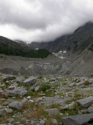 Le glacier de Bionnassay [1750m]