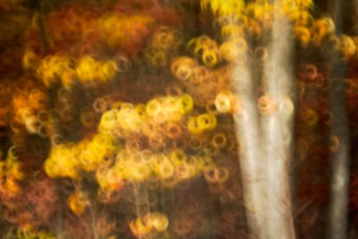 Fall
