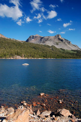 Tioga Lake Yosemite NP