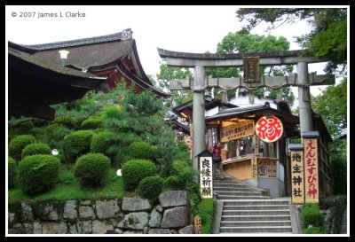 Returning from the Shrine