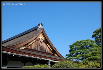 Roof and Trees