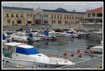 Boats in the Marina