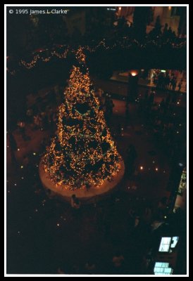 The Big Christmas Tree