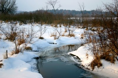 Upper Fall Creek