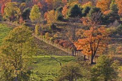 Autumn colors, Fairfield Road