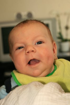sized_IMG_7684.jpg